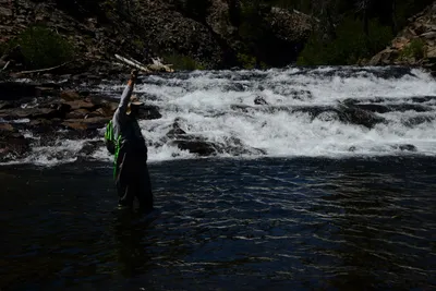 DSC_9927 (Large).JPG